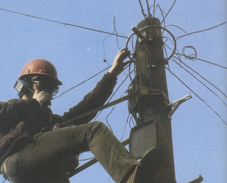 A distribution point (DP) on a telegraph pole, with drop wires to each home.